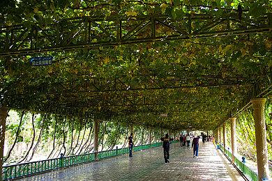 Roguelite克苏鲁修仙《旧日女修》现已发售,售价38元,首发9折！